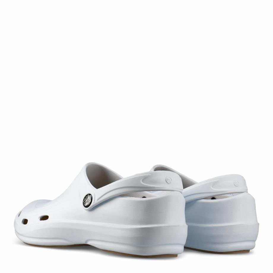 FitClog Basic